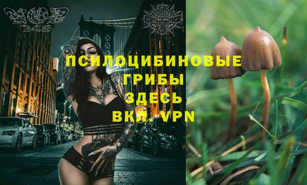 стаф Наволоки