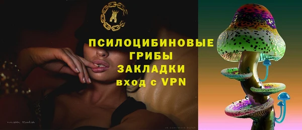 молекула духа Надым