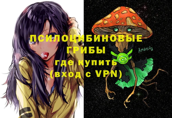 шишки Нефтекумск