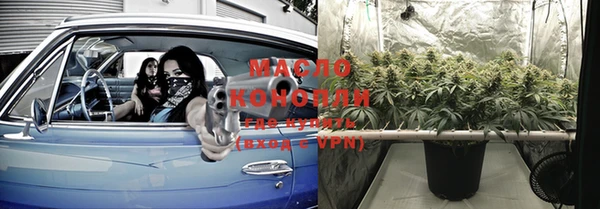 молекула духа Надым