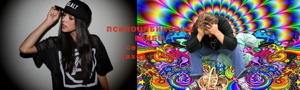 ПСИЛОЦИБИНОВЫЕ ГРИБЫ Навашино