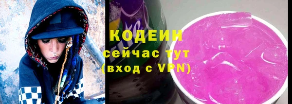 молекула духа Надым