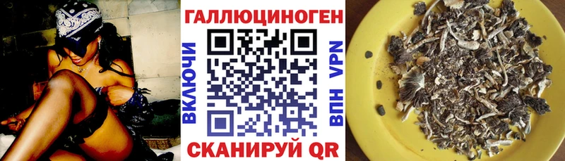Псилоцибиновые грибы GOLDEN TEACHER где купить Пыть-Ях